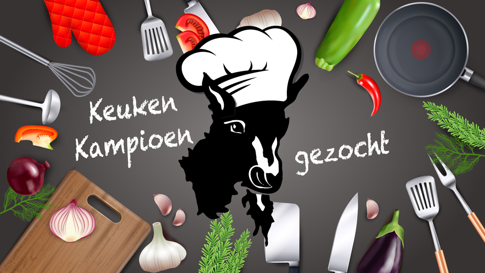 keukenkampioen hamsebok keukenkampioen hamsebok