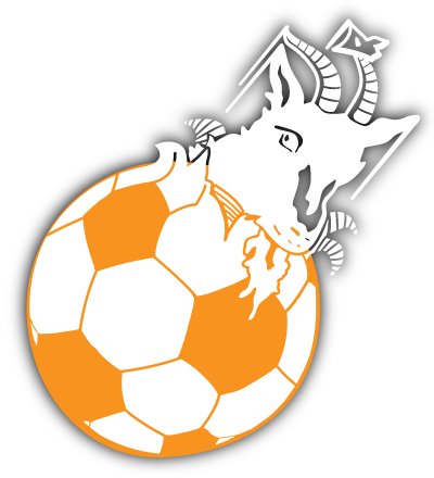 voetbal_bok_oranje